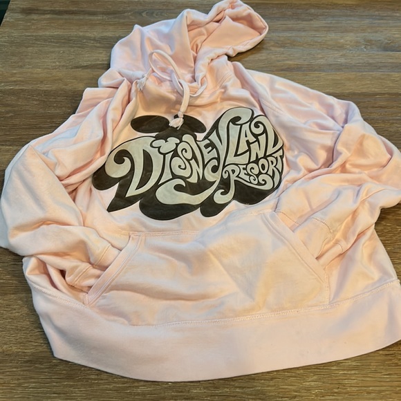 Disney Parks | Disneyland Resort hoodie Sz XL - Picture 4 of 8